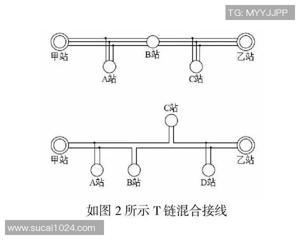 南京网球队灵活性分析与提升策略探讨