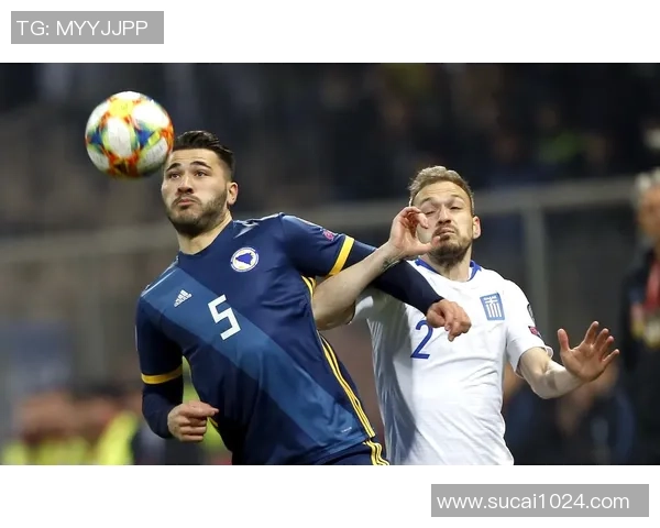 波黑足球明星的传奇之路与他们的辉煌成就探秘